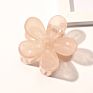 Rara 7Cm Ins Hair Accessories Fashionable Daisy Hair Clip Flower Medium Plastic Hair Claw