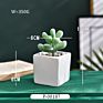 Green Individual Mini Faux Fake Artificial Succulent Cactus Plant Bonsai Succulent Assorted Set