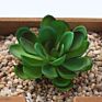 Price the Newest Artificial Succulent Plants Arrangement Faux Mini Cactus Succulents
