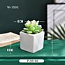 Green Individual Mini Faux Fake Artificial Succulent Cactus Plant Bonsai Succulent Assorted Set