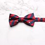 Professional Mens Suit Shirt Bowties Stylish Business Bow Ties For