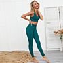 Workout Yoga Sets Clothes Fitness Yoga Leggings Seamless Gym Tights and Sports Bra Set for Women