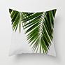 Fashionable Tropical Plant Polyester Hugging Pillow Case Office Fabric Sofa Cushion Cover Home Peach Skin Pillow Case