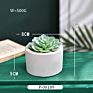 Green Individual Mini Faux Fake Artificial Succulent Cactus Plant Bonsai Succulent Assorted Set