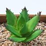 Price the Newest Artificial Succulent Plants Arrangement Faux Mini Cactus Succulents