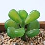 Price the Newest Artificial Succulent Plants Arrangement Faux Mini Cactus Succulents