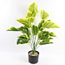 Acrylic Artificial Plant
