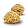 All Natural Renewable  Sea Wool Honeycomb Sea bath Sponge