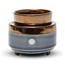 2 in 1 Fragrance Oil Warmer Electric Wax Warmer Candle Melt Burners for Spa and Aromatherapy Use