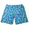 3D Men Shorts in Digital Printing Breathable Quick Dry Design Children Boy Beach Shorts Anti-Wrinkle 3D Printed