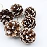 9 Pcs White Tipped Natural Christmas Hanging Pine Cones Ornaments for Home Wedding Decorations