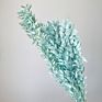 Artificial Green Ruscus Dried Flower Italian Ruscus Greenery Garland Ruscus Leaves for Decor