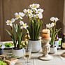 Artificial Plants in Pots Daffodils Artificial Flower Plant Desktop Artificial Flowers Artificial Plants and Flowers