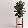 Assembly Adjustable Wooden Plant Stand Mid Century Plant Holder Indoor Flower Stand Adjustable Plant Stand