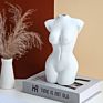 Body Human Face Ceramic Flower Pot Head Planter Sculpture Indoor Plant Pots Character Vase Flower Home Decor