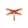 Brooch Enamel Drip Oil Dragonfly Brooch Corsage Female with Rhinestone Dragonfly Pins