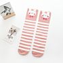 Cartoon Animal White Long Knee Girls Socks Novelty School Striped Socks for Kids In