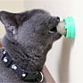 Cats Rotatable Catnip Ballcatnip Wall Lick Treat Toys for Cats Cat Mint Ball