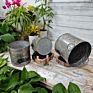 Christmas Galvanized Metal Flower Bucket Farmhouse Rustic round Tub Galvanized Pot Metal Tin Planters for Garden Home Set of 3