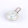Colorful Safety Clip-On Led Pet Light