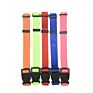Customize Collar Dog Premium Nylon Webbing Dog Collar