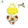 Cute Tassel Top Bikini Set Dinosaur Print Shorts Baby Swimwear Suit Dggs-024