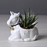 Creative ceramic Mini Flowerpot