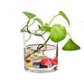 Cylinder Glass Flower Vase for Home Decor