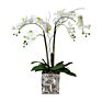 Design Artificial in Pot Uk Phalaenopsis Orchid Silk Flower