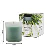 Design Home Decoration Hotsale Scented 150G Candle with Frosted Glass Jar