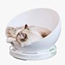 Design Plastic Interactive Ball Toy Bed