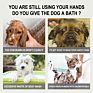 Design Soft Silicone Pet Grooming Massaging Brush Dog Cat Hair Bath Comb Pet Cleaning Grooming Product