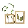 Desktop Glass Planter Diy Test Tube Vase with 4*6" Picture Frame,Glass Terrariumin Wooden Stand for Display Hydroponics Plants