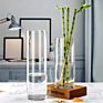 Different Sizes Hydroponic Clear Plant Tall Cylinder Glass Flower Vase