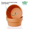 Direct Terracotta Pots Planters 6.1 Inch Cactus Plant Containers Indoor Garden Bonsai Pots with Drainage Hole