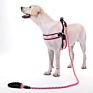 Dog Leash Muti-Color Practical Heavy Strong Duty Big Nylon Material Luxury Dog Leash