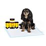 Dono Dog Pee Pads and Puppy Training Pads - Super Absorbent & Leak-Free Potty Pads for Dogs