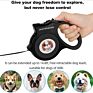 Adjustable Led Dog Leash