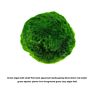 Environmental Green Seaweed Balls Genuine Aquarium Ball Moss Balls Fish Tank Healthy Aquatic Plants Decoration