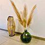 Fcd1017 Decorative Flowers Large Natural Dried Pampas Grass 30 Pcs Bundle