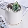 Fine-Price White Modern Nordic Planter round Shape Ceramic Planter for Indoor and Outdoor