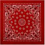 Fubu No Moq 27*27Inch Extra Large 100% Cotton Paisley Big Size Bandana Oversized Bandana Printed Headwear