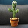 Funny Recorder Singing Cactus Plush Toy Usb Rechargeable Dancing Cactus