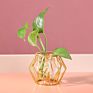 Grace Glass Vase Modern Hydroponic Iron Line Flower Glass and Gold Vases Plant Holder Home Decor Vase Crystal Glass