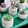 Green Individual Mini Faux Fake Artificial Succulent Cactus Plant Bonsai Succulent Assorted Set