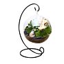 Hanging Plant round Glass Vase Terrarium for Indoor Decoration