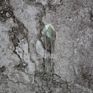 Hj39543 Silver Hairpin Hairpins Hairpin Jewelry Labradorite Stone Slab Gem Hair Pin Silver