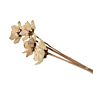 Home Decor Flowers Dried Wood Flower Lotus Flower