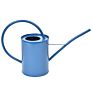 Blue shades indoor watering can ass