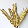 Iron Leaves Sago Cycas Leaf Natural Dried Folium Cycas